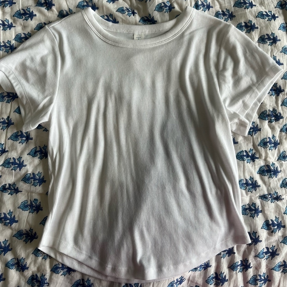 Basics ribbed cropped baby tee